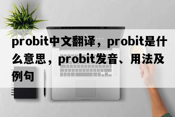 probit中文翻译，probit是什么意思，probit发音、用法及例句
