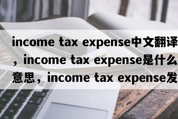 income tax expense中文翻译，income tax expense是什么意思，income tax expense发音、用法及例句