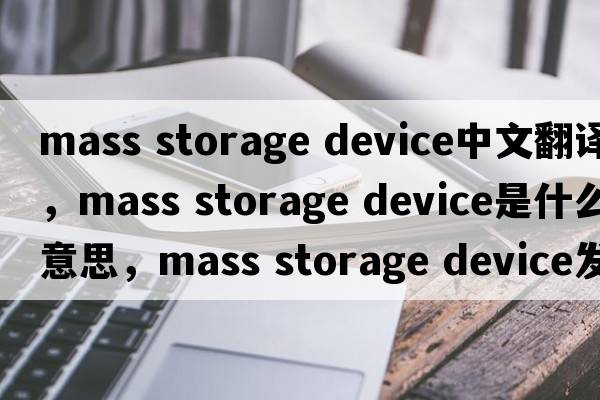 mass storage device中文翻译，mass storage device是什么意思，mass storage device发音、用法及例句
