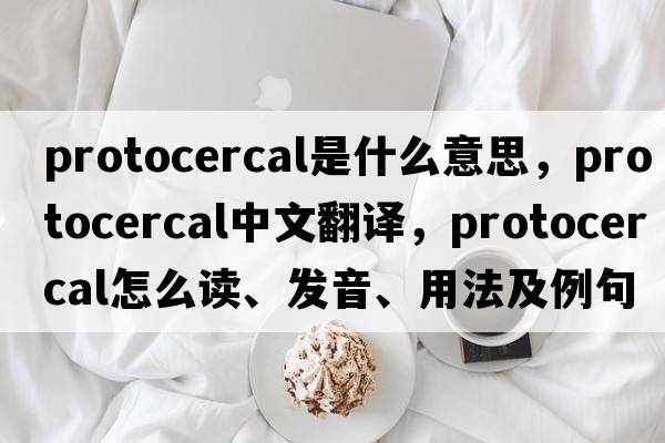 protocercal是什么意思，protocercal中文翻译，protocercal怎么读、发音、用法及例句