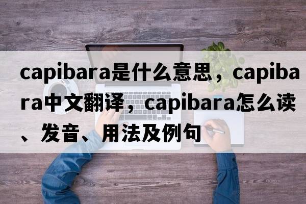 capibara是什么意思，capibara中文翻译，capibara怎么读、发音、用法及例句