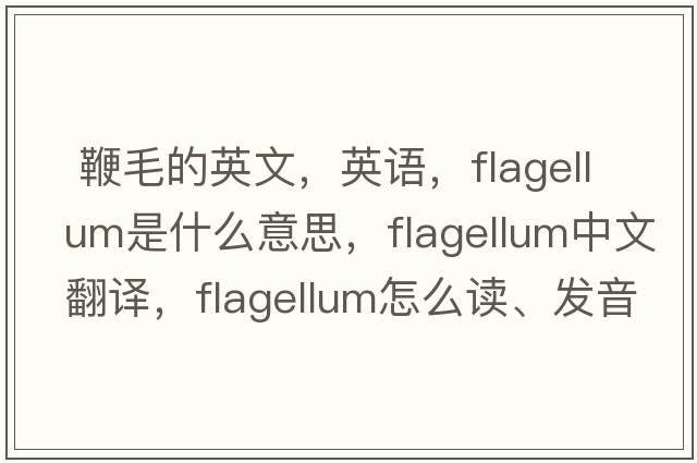  鞭毛的英文，英语，flagellum是什么意思，flagellum中文翻译，flagellum怎么读、发音、用法及例句