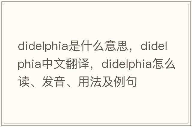 didelphia是什么意思，didelphia中文翻译，didelphia怎么读、发音、用法及例句