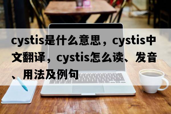 cystis是什么意思，cystis中文翻译，cystis怎么读、发音、用法及例句