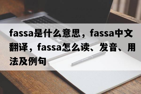 FASSA是什么意思，FASSA中文翻译，FASSA怎么读、发音、用法及例句