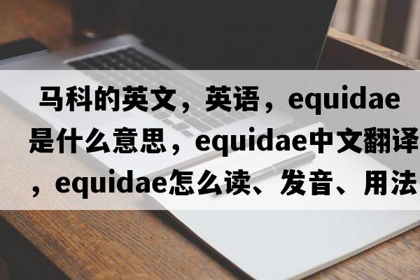  马科的英文，英语，Equidae是什么意思，Equidae中文翻译，Equidae怎么读、发音、用法及例句