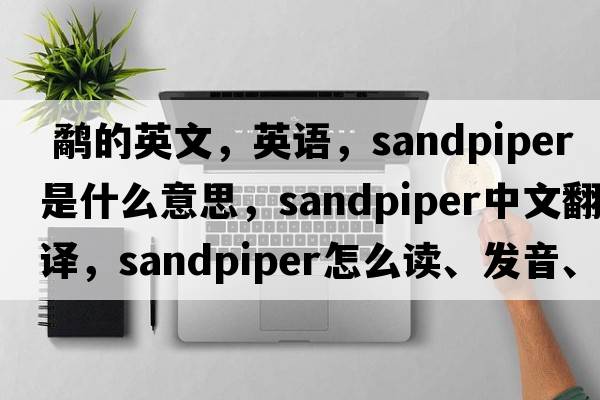  鹬的英文，英语，sandpiper是什么意思，sandpiper中文翻译，sandpiper怎么读、发音、用法及例句