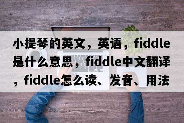 小提琴的英文，英语，fiddle是什么意思，fiddle中文翻译，fiddle怎么读、发音、用法及例句