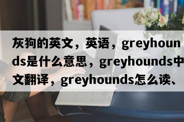 灰狗的英文，英语，greyhounds是什么意思，greyhounds中文翻译，greyhounds怎么读、发音、用法及例句