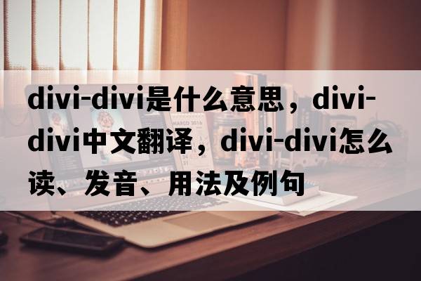 divi-divi是什么意思，divi-divi中文翻译，divi-divi怎么读、发音、用法及例句