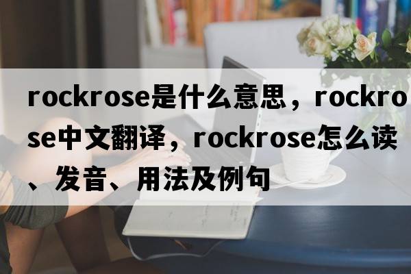 rockrose是什么意思，rockrose中文翻译，rockrose怎么读、发音、用法及例句