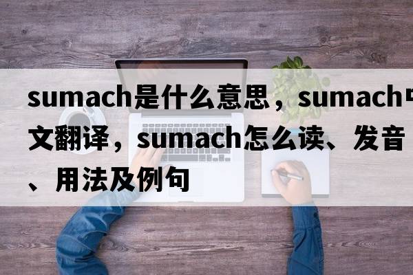 sumach是什么意思，sumach中文翻译，sumach怎么读、发音、用法及例句