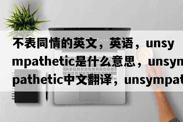 不表同情的英文，英语，unsympathetic是什么意思，unsympathetic中文翻译，unsympathetic怎么读、发音、用法及例句