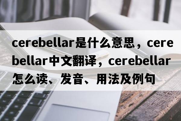 cerebellar是什么意思，cerebellar中文翻译，cerebellar怎么读、发音、用法及例句