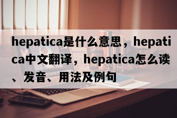 hepatica是什么意思，hepatica中文翻译，hepatica怎么读、发音、用法及例句