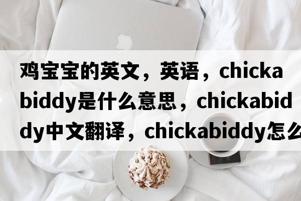 鸡宝宝的英文，英语，chickabiddy是什么意思，chickabiddy中文翻译，chickabiddy怎么读、发音、用法及例句