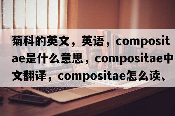 菊科的英文，英语，Compositae是什么意思，Compositae中文翻译，Compositae怎么读、发音、用法及例句