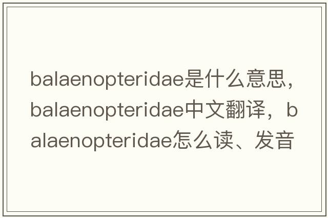 Balaenopteridae是什么意思，Balaenopteridae中文翻译，Balaenopteridae怎么读、发音、用法及例句