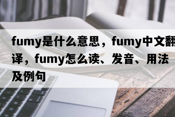 fumy是什么意思，fumy中文翻译，fumy怎么读、发音、用法及例句