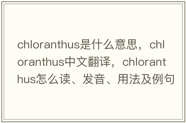 chloranthus是什么意思，chloranthus中文翻译，chloranthus怎么读、发音、用法及例句