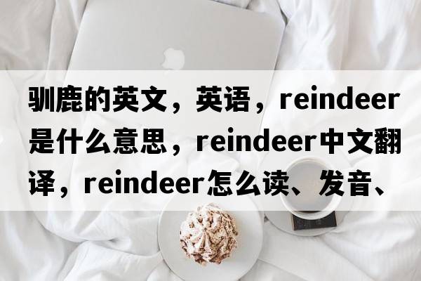 驯鹿的英文，英语，reindeer是什么意思，reindeer中文翻译，reindeer怎么读、发音、用法及例句