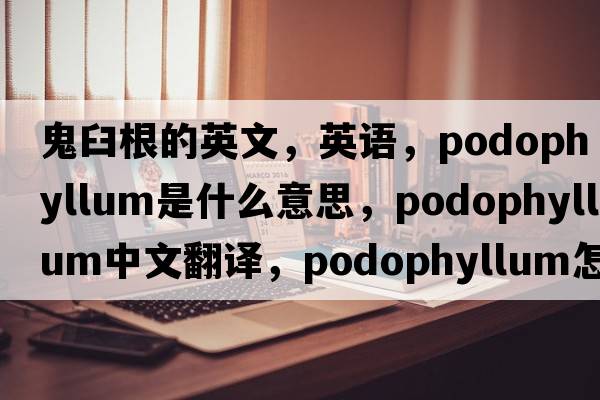 鬼臼根的英文，英语，podophyllum是什么意思，podophyllum中文翻译，podophyllum怎么读、发音、用法及例句