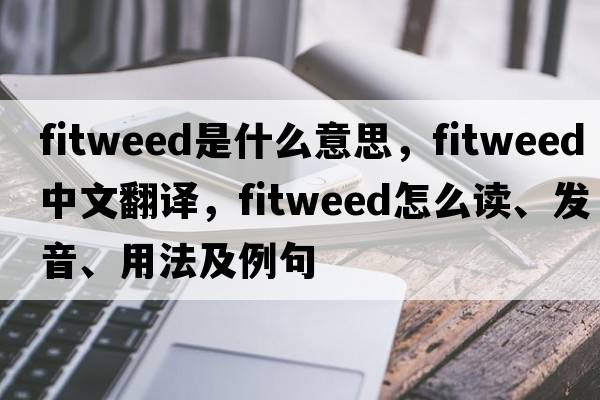 Fitweed是什么意思，Fitweed中文翻译，Fitweed怎么读、发音、用法及例句