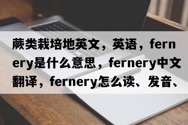 蕨类栽培地英文，英语，fernery是什么意思，fernery中文翻译，fernery怎么读、发音、用法及例句