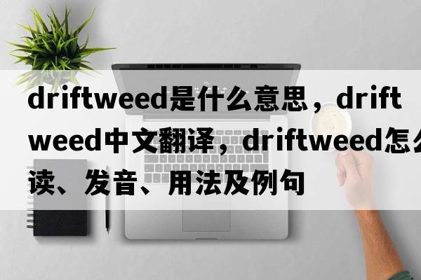 driftweed是什么意思，driftweed中文翻译，driftweed怎么读、发音、用法及例句