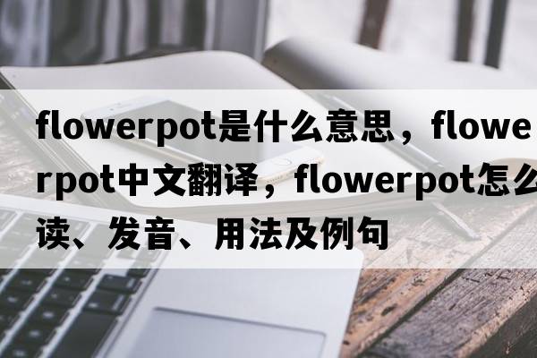 flowerpot是什么意思，flowerpot中文翻译，flowerpot怎么读、发音、用法及例句