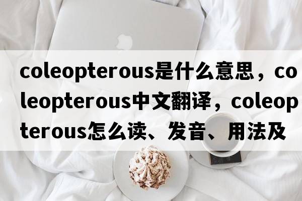 coleopterous是什么意思，coleopterous中文翻译，coleopterous怎么读、发音、用法及例句