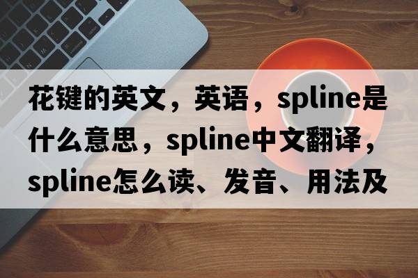 花键的英文，英语，spline是什么意思，spline中文翻译，spline怎么读、发音、用法及例句