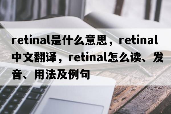 retinal是什么意思，retinal中文翻译，retinal怎么读、发音、用法及例句