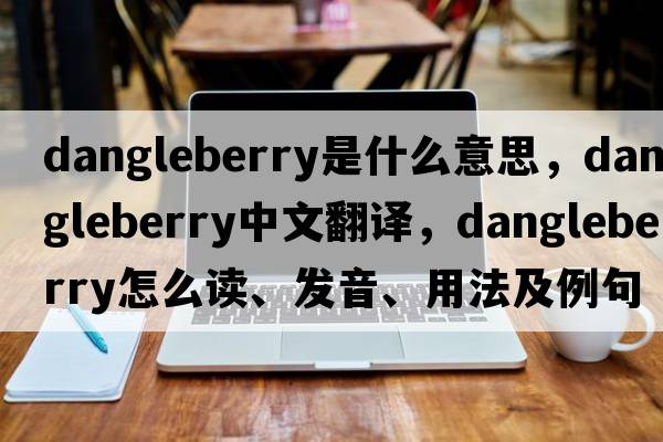 dangleberry是什么意思，dangleberry中文翻译，dangleberry怎么读、发音、用法及例句