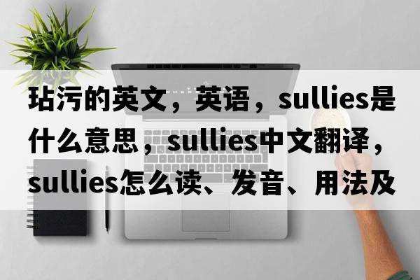 玷污的英文，英语，sullies是什么意思，sullies中文翻译，sullies怎么读、发音、用法及例句