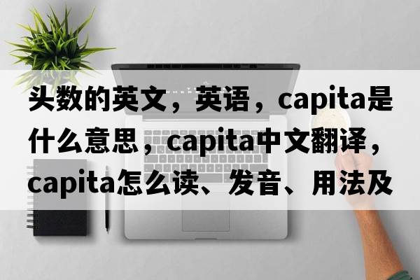 头数的英文，英语，capita是什么意思，capita中文翻译，capita怎么读、发音、用法及例句