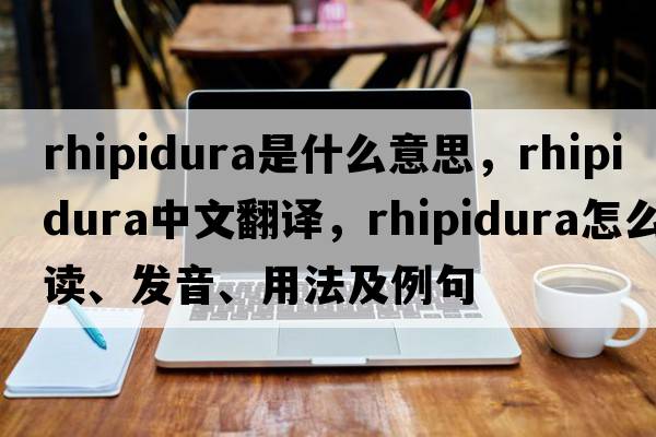 rhipidura是什么意思，rhipidura中文翻译，rhipidura怎么读、发音、用法及例句