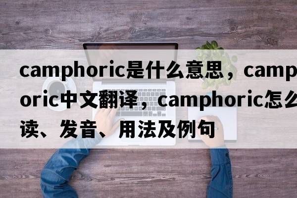 camphoric是什么意思，camphoric中文翻译，camphoric怎么读、发音、用法及例句