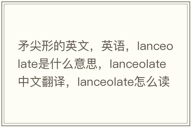 矛尖形的英文，英语，lanceolate是什么意思，lanceolate中文翻译，lanceolate怎么读、发音、用法及例句