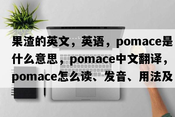 果渣的英文，英语，pomace是什么意思，pomace中文翻译，pomace怎么读、发音、用法及例句