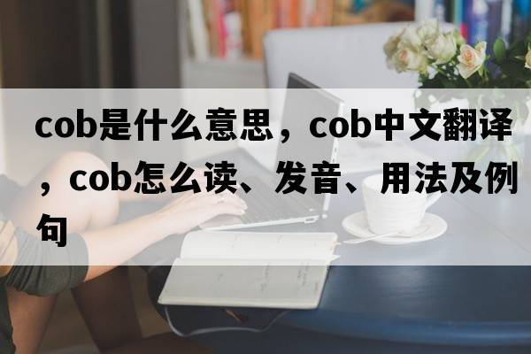 cob是什么意思，cob中文翻译，cob怎么读、发音、用法及例句