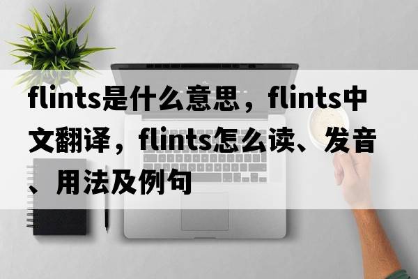 flints是什么意思，flints中文翻译，flints怎么读、发音、用法及例句