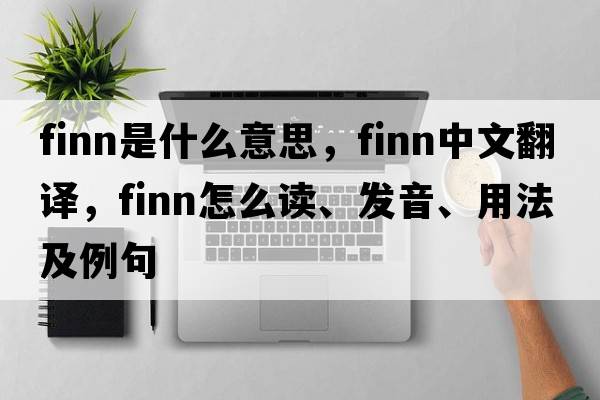 finn是什么意思，finn中文翻译，finn怎么读、发音、用法及例句