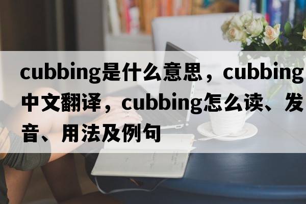 cubbing是什么意思，cubbing中文翻译，cubbing怎么读、发音、用法及例句