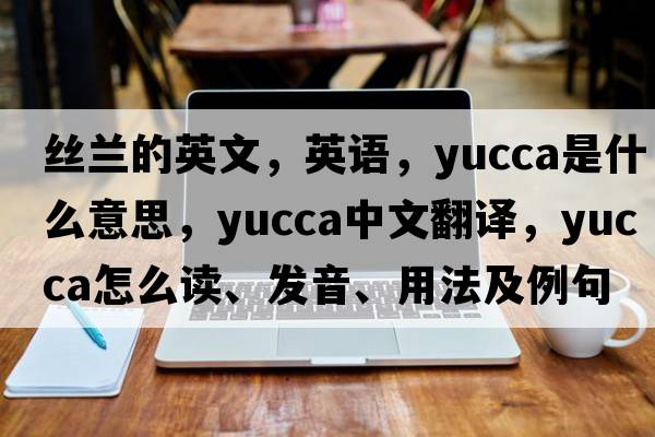 丝兰的英文，英语，yucca是什么意思，yucca中文翻译，yucca怎么读、发音、用法及例句