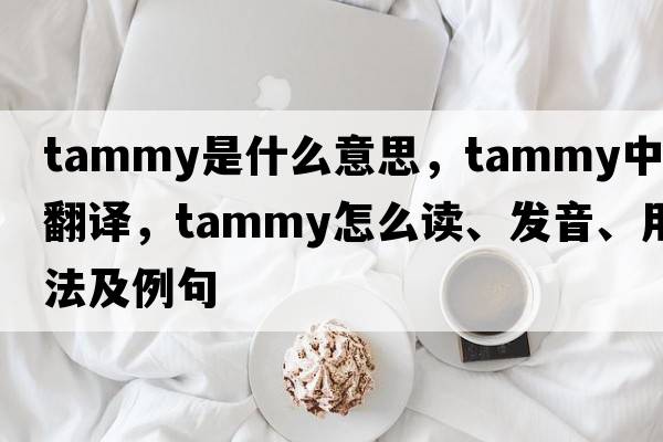 tammy是什么意思，tammy中文翻译，tammy怎么读、发音、用法及例句