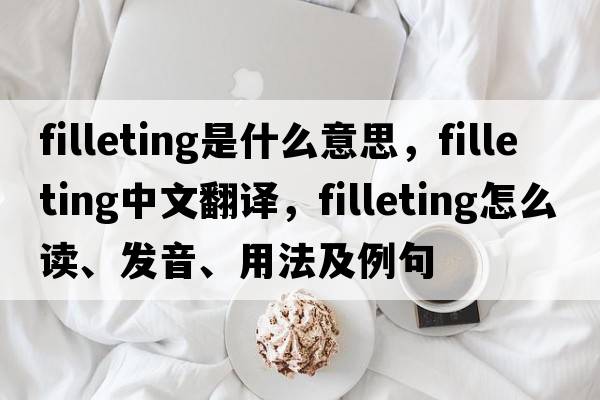 filleting是什么意思，filleting中文翻译，filleting怎么读、发音、用法及例句