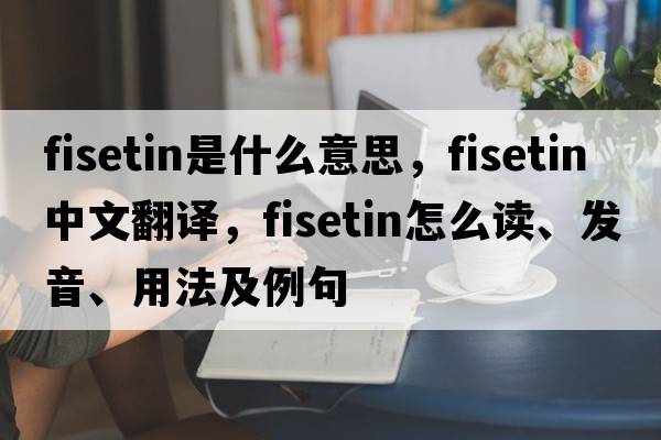 fisetin是什么意思，fisetin中文翻译，fisetin怎么读、发音、用法及例句