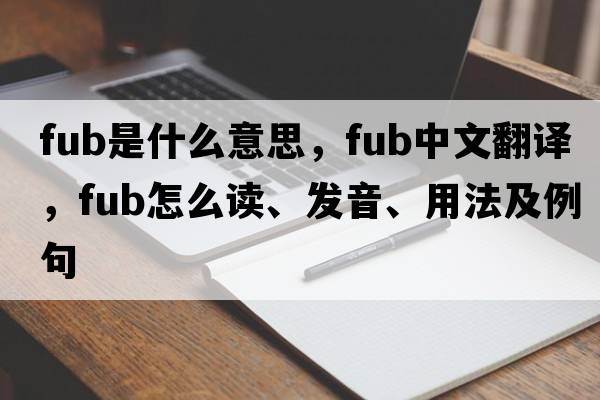 fub是什么意思，fub中文翻译，fub怎么读、发音、用法及例句