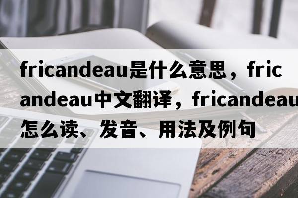 fricandeau是什么意思，fricandeau中文翻译，fricandeau怎么读、发音、用法及例句